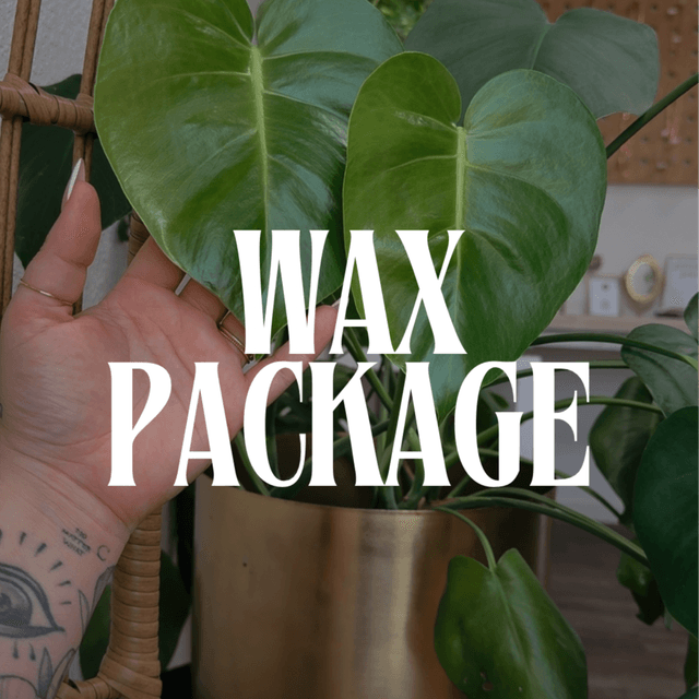 Brazilian Wax - 3 Sessions at the.skin.project in Fresno, CA