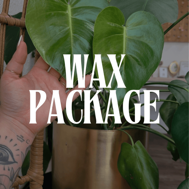 Brazilian Wax - 12 Sessions at the.skin.project in Fresno, CA